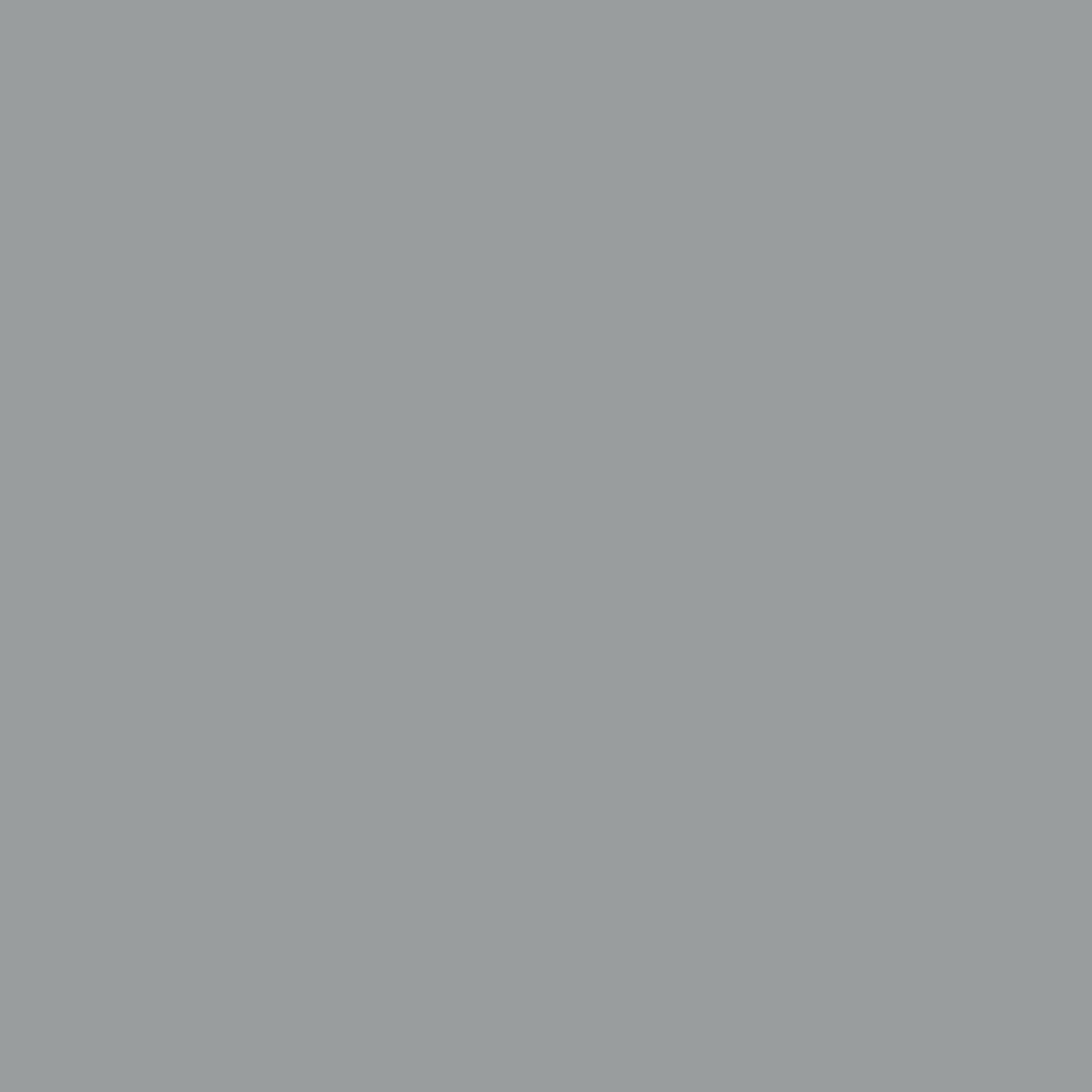 10 in Chrome Solid Bottom Pantry Pullout Soft Close Gray  10.25 in (260 mm) W x 21.69 in (551 mm) D x 43.41 in (1103 mm) H