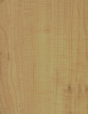 LAM BLEND (FUSION) MAPLE  MATE 4X8 1/32 IC