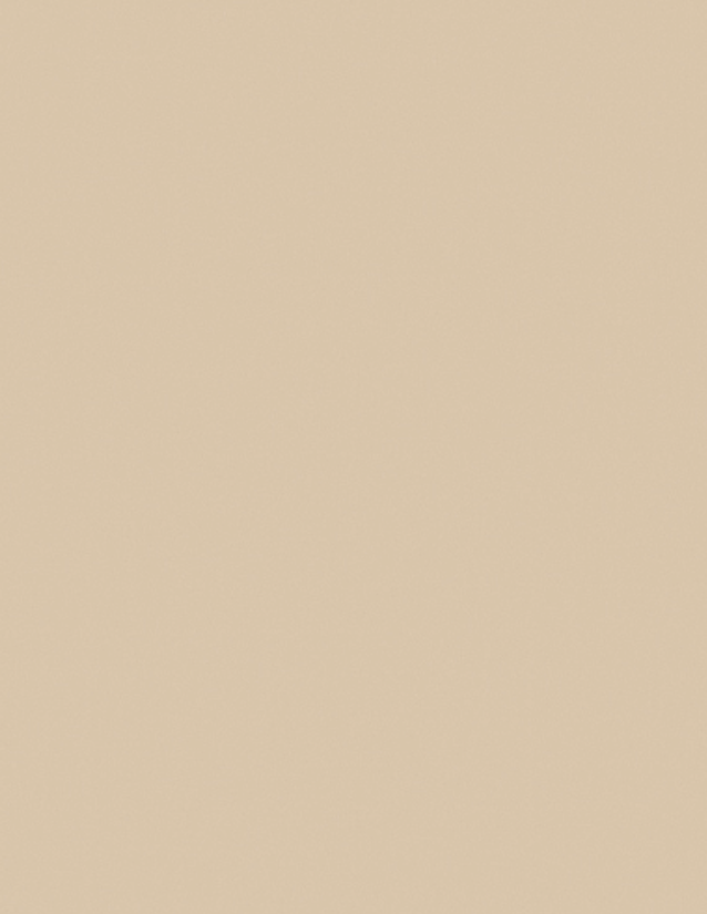 LAM SANDSTONE PR 4X8 1/32 IC