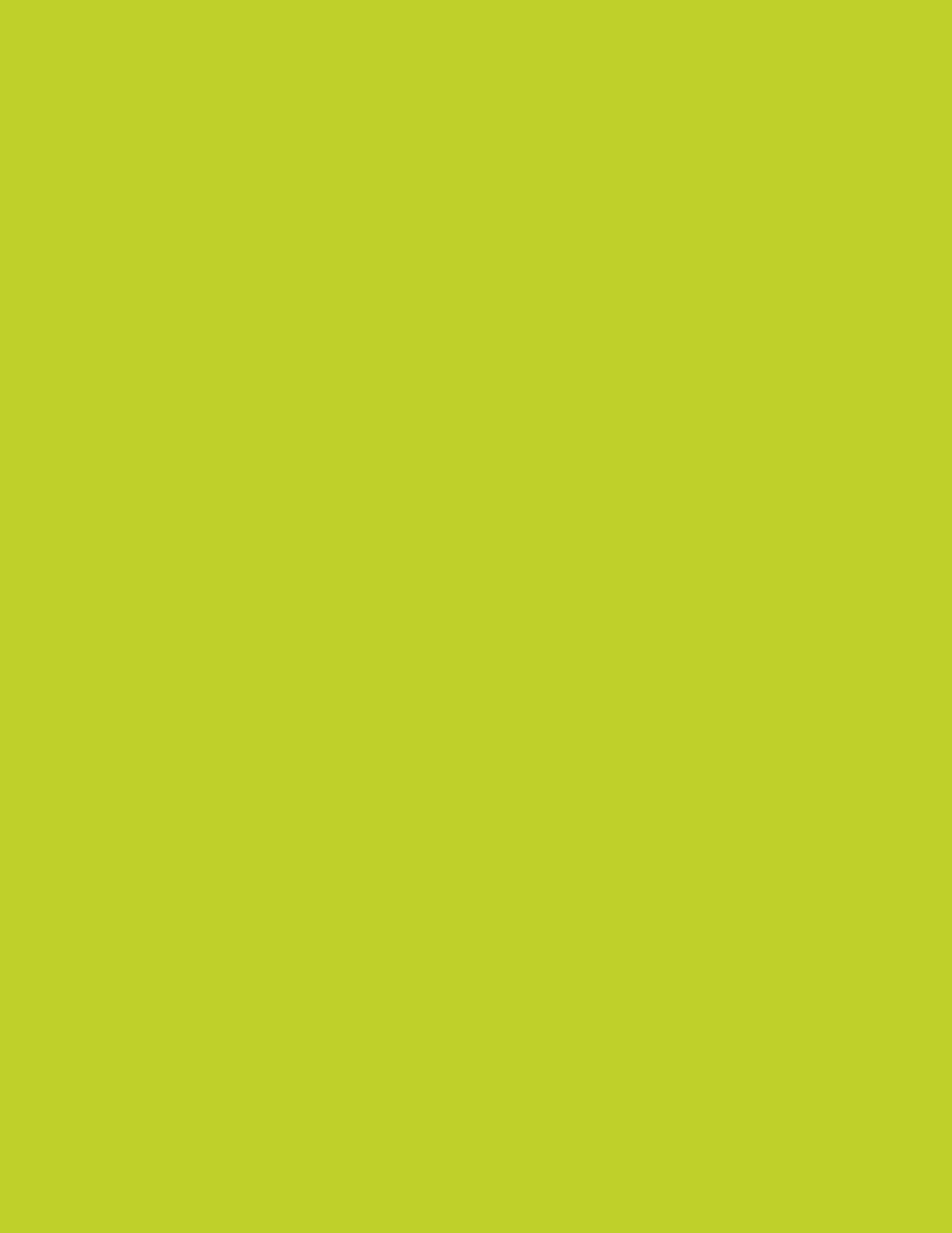 LAM NEON GREEN DL 4X8 1/32