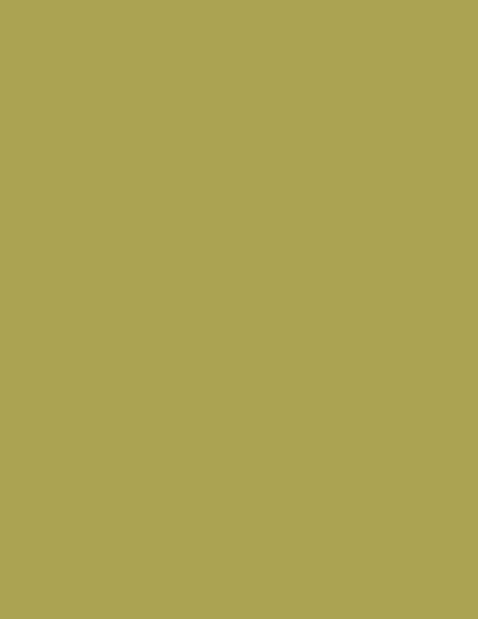 LAM OLIVE IT 4X8 IC