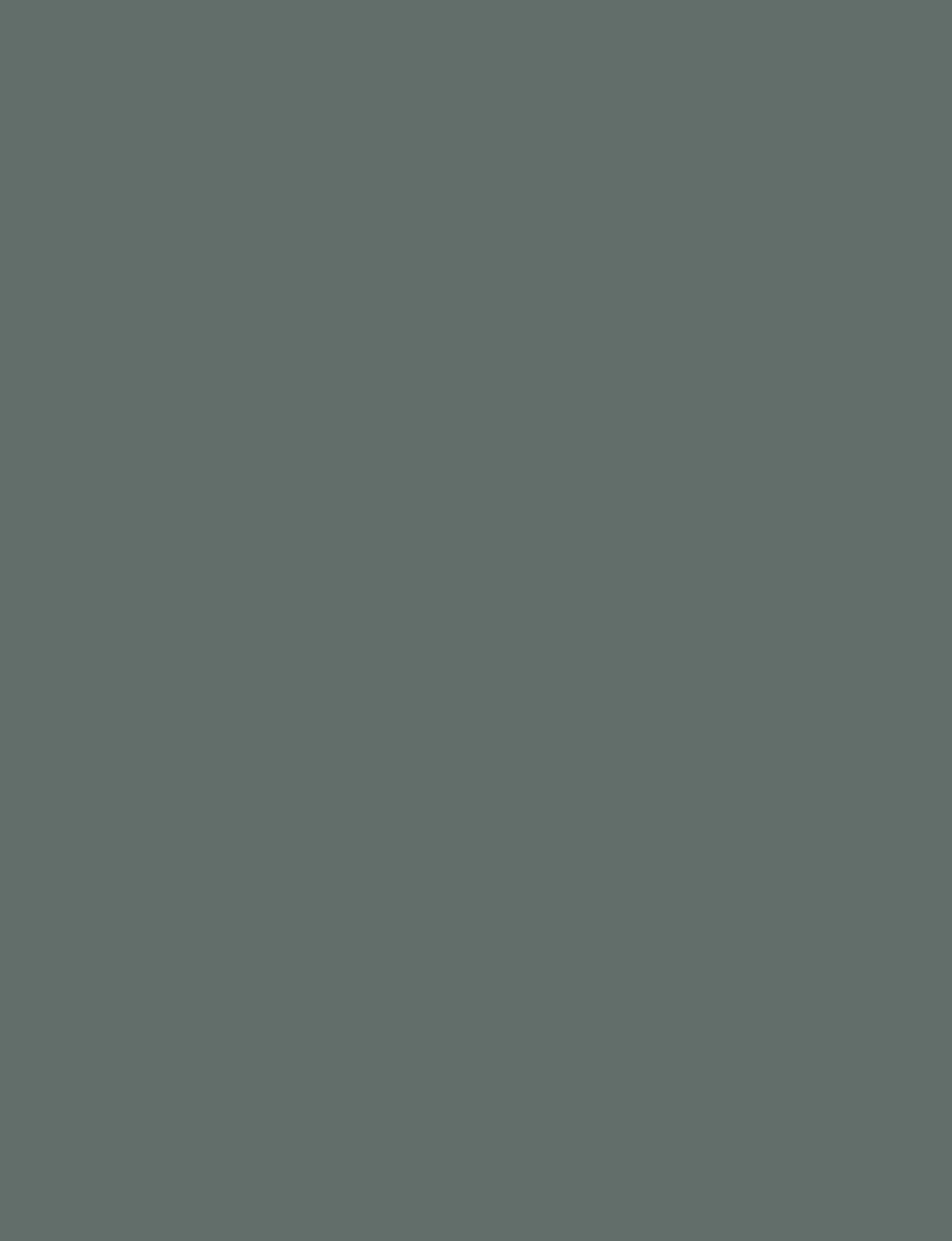LAM FOREST VPG MT 4X8 1/32 IC