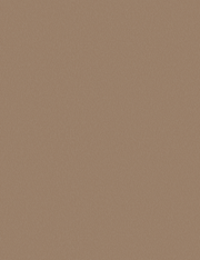 LAM BRUSHED CHAMPAGNE BS 4X81/32 IC