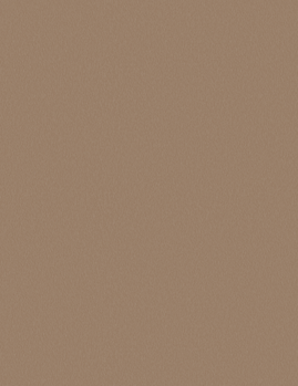 LAM BRUSHED CHAMPAGNE BS 4X81/32 IC