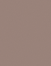 LAM BRUSHED ROSEGOLD BS 4X8 1/32 IC