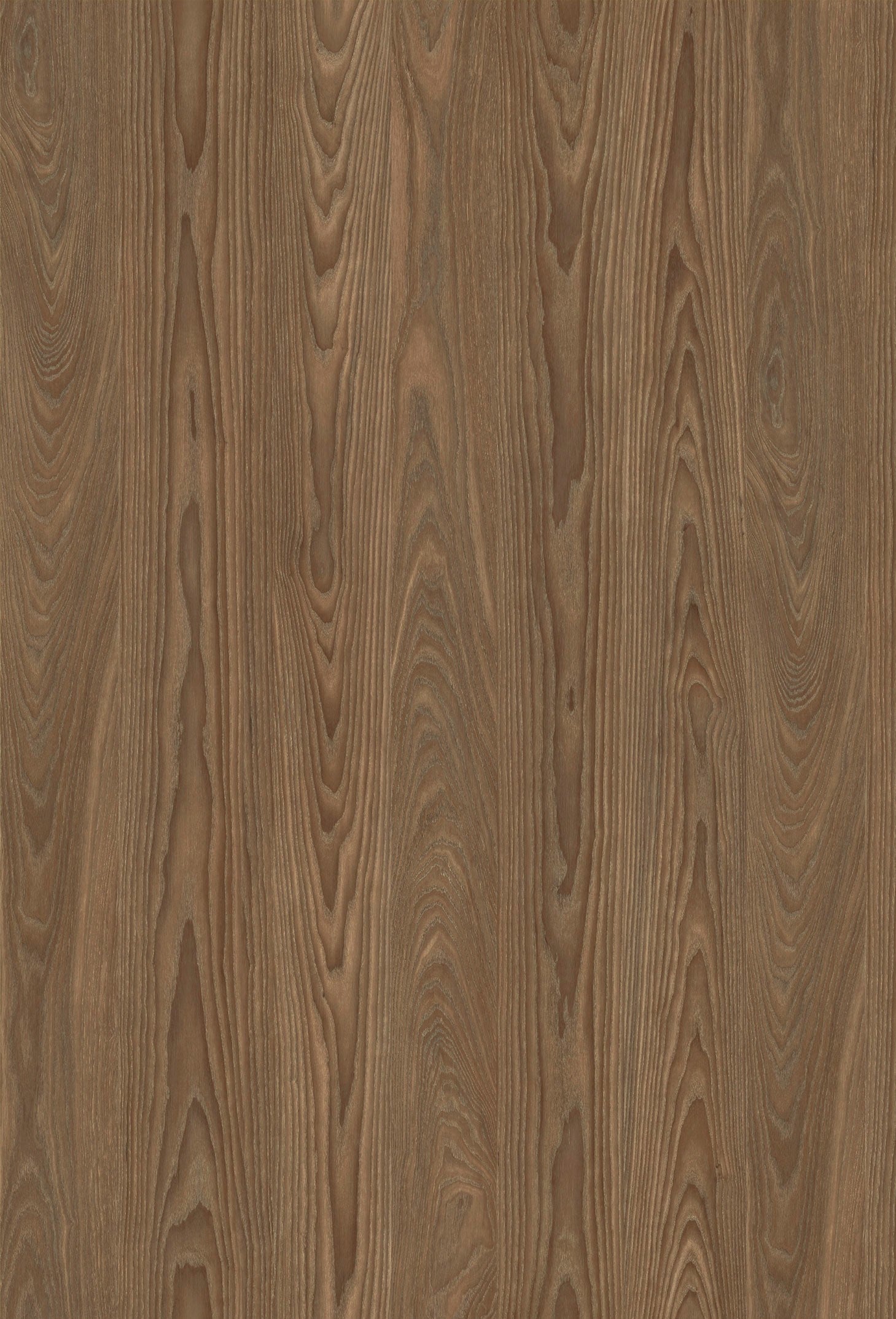 Pampas Melamine 7 Ft X 9 Ft