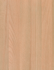 LAM NATURAL BEECH PR 4X8 1/32 IC