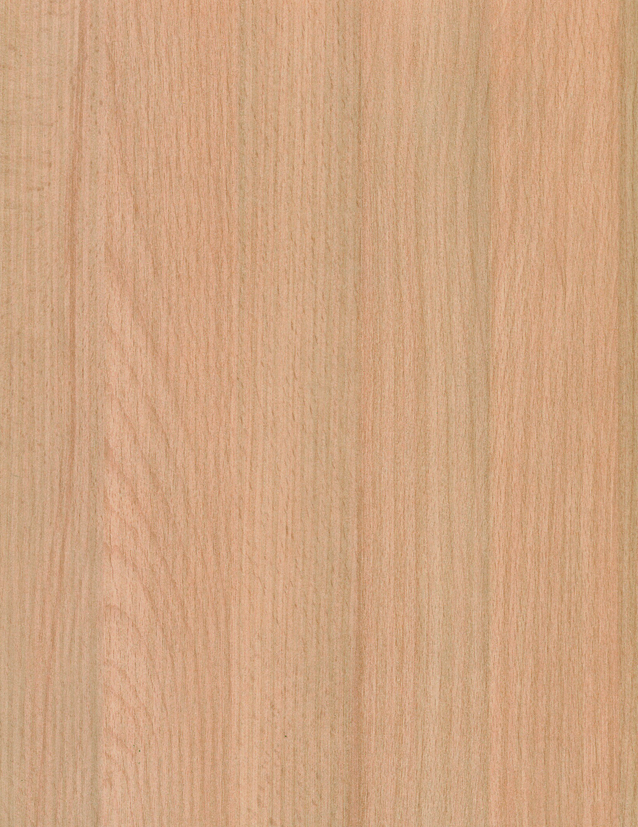 LAM NATURAL BEECH PR 4X8 1/32 IC